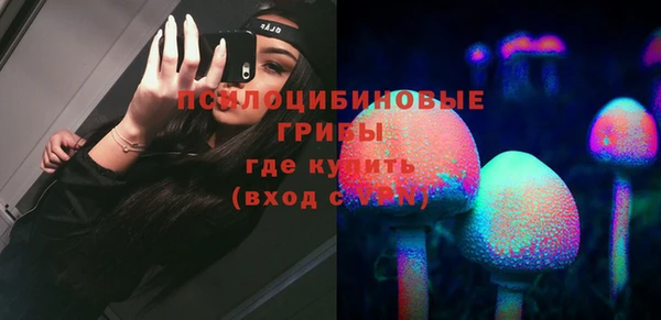 СК Армянск