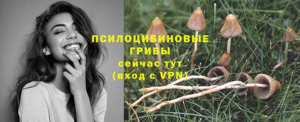 меф Рославль