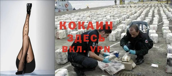 ешки Алексин